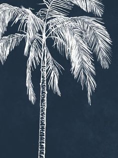 a drawing of a palm tree on a chalkboard background