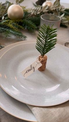 a white plate topped with a small pine tree