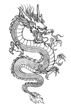 a black and white drawing of a dragon with two heads on it's back