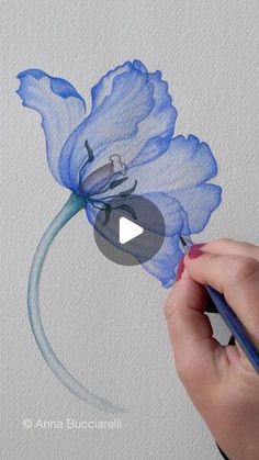 someone is drawing a blue flower with watercolor pencils