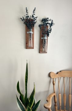 two vases with flowers are on the wall next to a chair and a plant