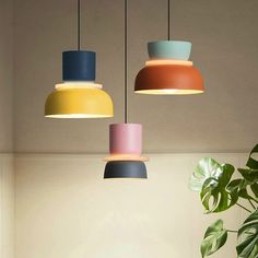 three different colored lights hanging from the ceiling above a table with two potted plants