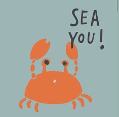 an orange crab with the words sea you on it