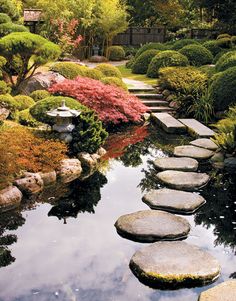 a garden with stepping stones in the water