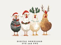 five chickens wearing christmas sweaters and hats