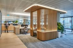 an office with wooden partitions and plants in the center, along with large windows