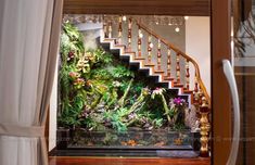 an aquarium in the entry way of a house with stairs leading up to it's second floor