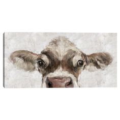 a painting of a cow's face on a white background with brown and white spots