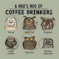 an owl's hoo of coffee drinkers poster with owls and their names