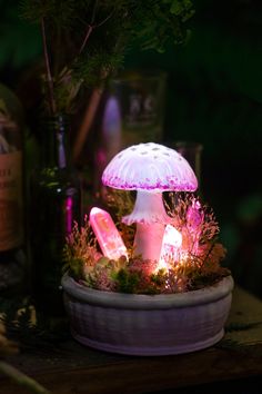 a mushroom lamp sitting on top of a potted plant next to a bottle of wine