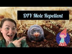 a woman pointing at an animal in the dirt with text that reads diy mote repellent easy and natural