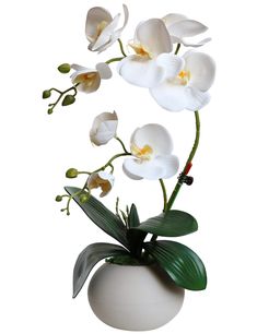 a white vase filled with flowers on top of a table