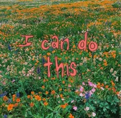 i can do this written in the middle of a field of flowers