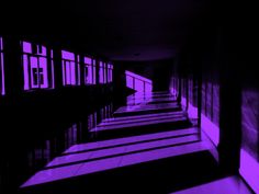 an empty hallway with purple light coming through the windows and shadows on the floor in front of them