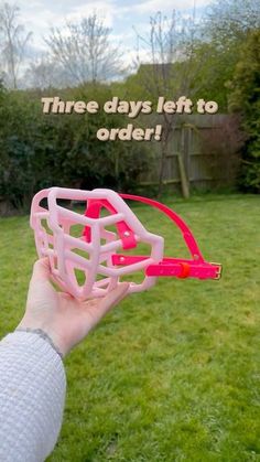 a hand holding up a pink plastic object with words on it that says, three days left to order