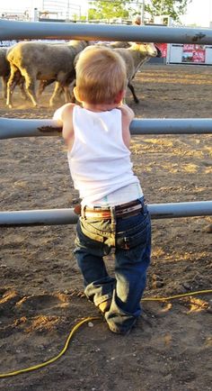 a little boy standing in front of a fence looking at some cows on the other side