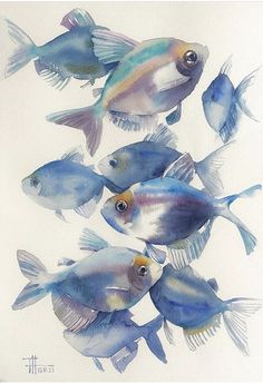 a group of blue and yellow fish on a white background with watercolor paint effect