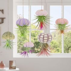 hanging air plants in various shades of pink, purple and green on a window sill