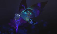 a butterfly flying over a purple flower with blue lights on it's back end