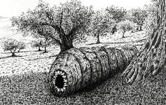 a pencil drawing of an old tree trunk