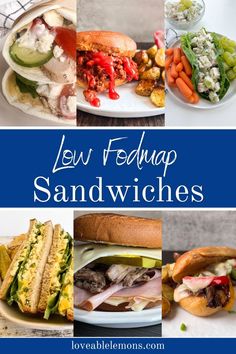 six low fodmap sandwiches including wrap, sloppy joe, chicken salad, egg salad, cuban and pot roast sandwich. Sub Sandwich Bread Recipe, Low Fodmap Bread, Egg White Wraps, Quick Dinner Options, Low Fodmap Diet Recipes, Fodmap Diet Recipes, Sandwich Bread Recipes, Sub Sandwiches, Midnight Snack