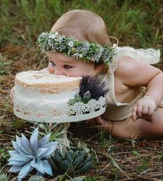 a baby in a dress is holding a cake with succulents on it