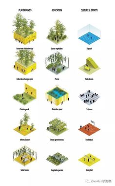 the different types of trees and how they are used to make them look like people