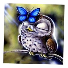 an owl sitting on top of a tree branch with a blue butterfly on its head