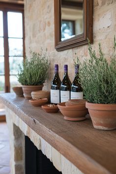 three bottles of wine sit on a mantle with potted plants in front of them