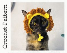 a cat wearing a crocheted lion hat with yellow flowers on it's ears