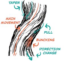 a diagram showing the different stages of movement