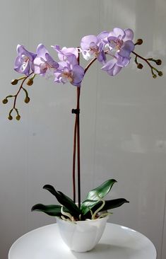 purple orchids in a white bowl on a small table with greenery around it