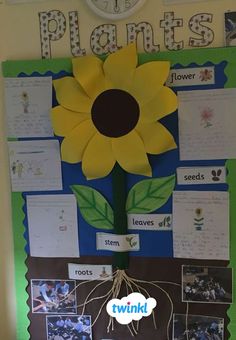 a bulletin board with flowers and pictures on it