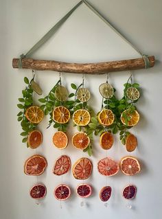 oranges, lemons and grapefruits hanging on a wall