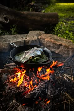 fish cooking over an open fire in a cast iron skillet