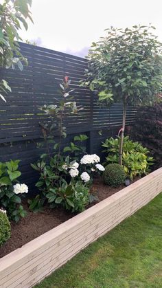 a garden with white flowers and green plants in it's center, next to a wooden fence