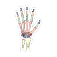 an illustration of the hand with different bones and fingers sticker on a white background