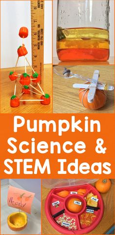 Pumpkin Science & STEM ideas including the parts of a pumpkin activities & craft, pumpkin tower STEM challenge, pumpkin boats, pumpkin investigations, pumpkin density jar, pumpkin catapults & more #pumpkinscience #scienceforkids #STEM Pumpkin Launcher, Code Puzzles, Pumpkin Science Experiment, Pumpkin Activities Preschool, Pumpkin Investigation, Pumpkin Lessons, Pumpkins Preschool