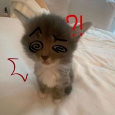 a small kitten sitting on top of a bed with question marks drawn on it's face