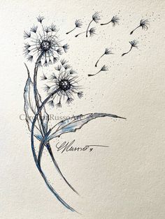 a drawing of a dandelion blowing in the wind