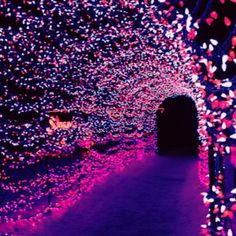 the tunnel is filled with colorful lights and trees are lit up in pink, purple, and red colors