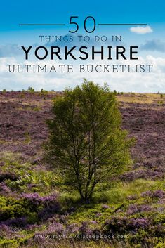 a tree in the middle of a field with text overlay that reads 50 things to do in yorkshire ultimate bucketlist