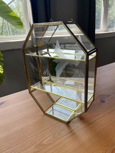 a small glass box on top of a wooden table next to a potted plant