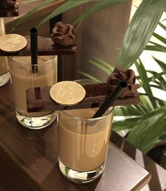 three glasses filled with liquid sitting on top of a wooden table next to a potted plant