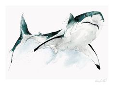 an ink drawing of a shark swimming in the ocean