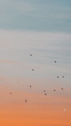 a flock of birds flying in the sky at sunset