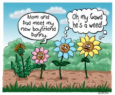 Gardening Jokes, Plant Humor, Plant Jokes, Garden Humor, Gardening Memes, Plant Puns