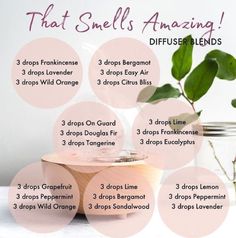 Doterra Diffuser Blends House Smells, Smell Good Diffuser Blends, Doterra Diffuser Blends, Aromatherapy Recipes, Doterra Essential Oils Recipes, Essential Oil Diffuser Recipes