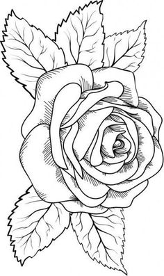 a black and white drawing of a rose