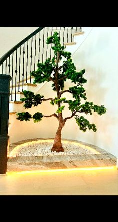 a bonsai tree sitting on top of a table in front of a stair case